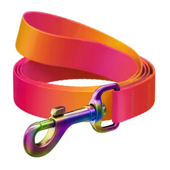 Zinxhir për qen Waudog Gradient, najlon 122cm, 20mm, portokalli rozë