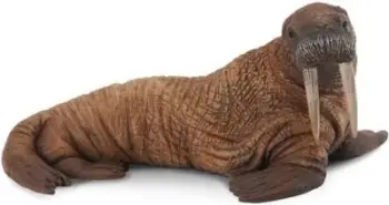 Figurinë lodër Collecta Walrus, kafshë deti, plastikë, shumëngjyrëshe