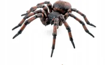 Figurinë koleksionuese Papo Common Spider, e punuar me dorë, model 50292