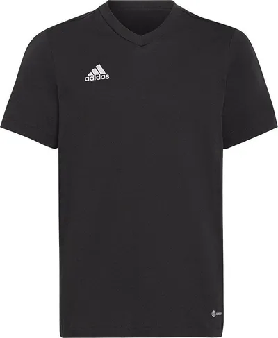Pamja 1
