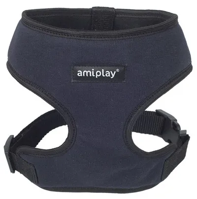 Pamja 1