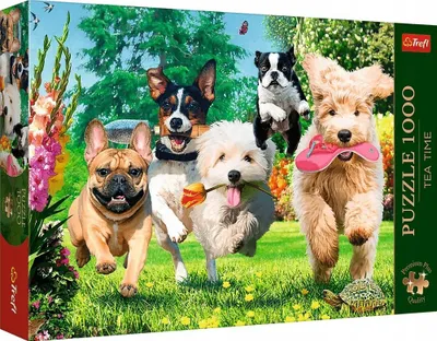 Puzzle Trefl Premium Plus Here Comes Trouble, 1000 copa, shumëngjyrëshe - 1