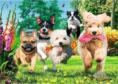 Puzzle Trefl Premium Plus Here Comes Trouble, 1000 copa, shumëngjyrëshe - 2