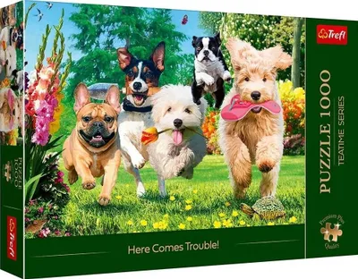 Puzzle Trefl Premium Plus Here Comes Trouble, 1000 copa, shumëngjyrëshe - 4