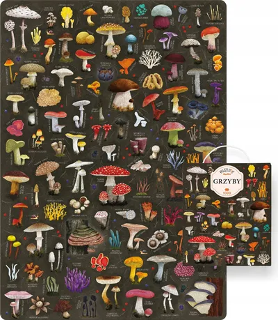 Puzzle familjare Puzzlove CzuCzu Mushrooms, 1000 copa, shumëngjyrëshe - 3