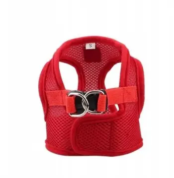 Qafore-harness Barry King M, jo shtrënguese, perimetër gjoksi 37cm, e kuqe