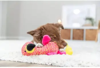 Lodër pelushi për qen Trixie Flamingo, e butë, rozë