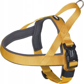 Parzmore norvegjeze për qen Nobby Classic Preno, 38-50 cm, najlon neopren, e artë