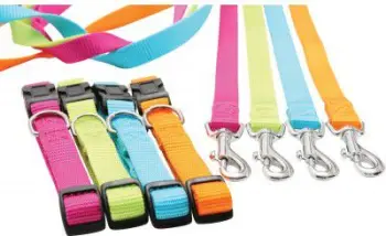 Rrip për qen Zolux Nylon, 1m/25mm, i gjelbër
