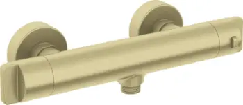 Bateri dushi Deante Thermostatic, termostatike, brushed gold