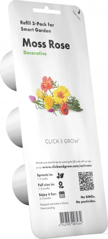 Kapsula bime Click & Grow Moss Rose, 3 copë, lule dekorative shumëngjyrëshe - 2