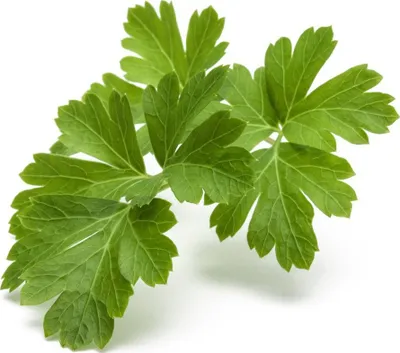 Kapsula bimore Click & Grow Plain Parsley, 3 copë, për kopsht inteligjent, jeshile - 1