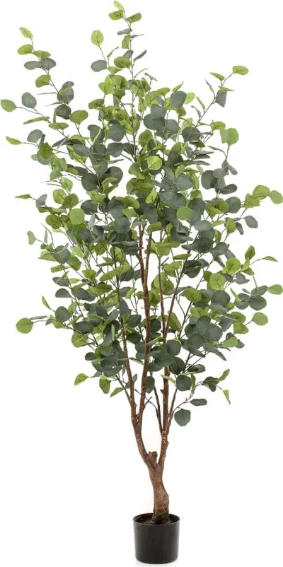 Osh Marker Per Cd Of100 - 1