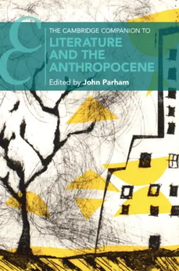 Cambridge Companion To Literature And Th - John Parham
