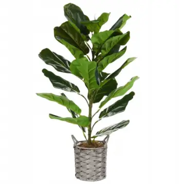 Bimë artificiale Fiddle Leaf Fig, 72 cm, me vazo boho, jeshile