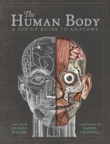 Human Body - Richard Walker