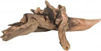 Dekor druri për akuarium TerraNatura Small Fast Sinking Wood S, 15–20cm, natyral