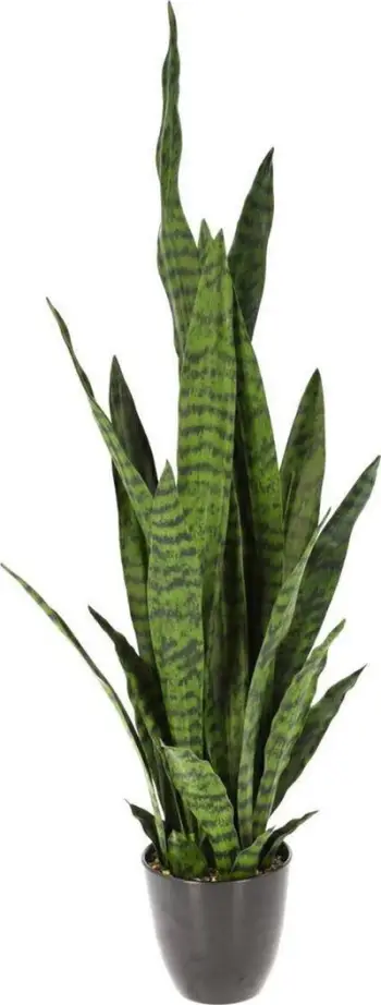 Lule artificiale Progarden Sanseviera, 92 cm, në vazo, jeshile