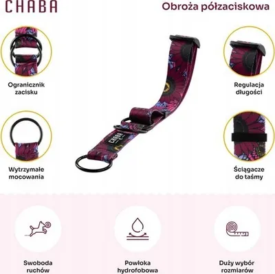 Pamja 3
