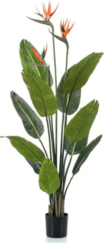 Bimë artificiale Emerald Strelitzia, 120cm, me lule, në vazo të zezë