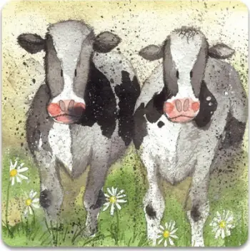 Magnet frigoriferi Teka FM76 Curious Cows, dekorativ, shumëngjyrësh