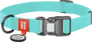Qafore qeni WAUDOG Glow in the Dark, e papërshkueshme nga uji, 23–36 cm, blu e çelët