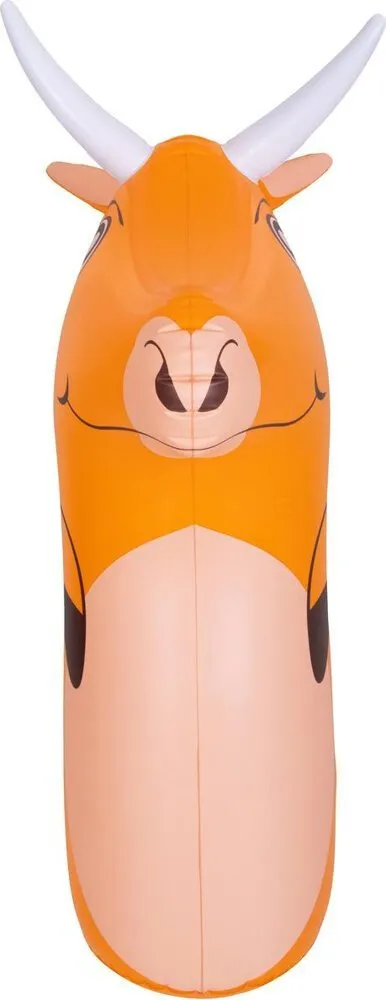Pamja 2