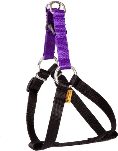 Qafore për qen Dingo Fred Energy, madhësia 50, gjerësi 1.6 cm, vjollcë - 1