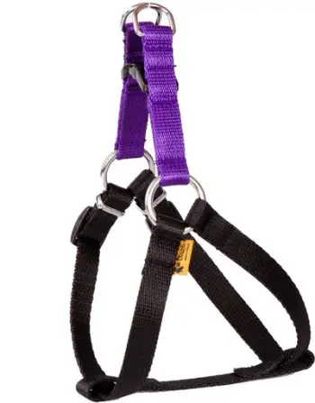 Qafore për qen Dingo Fred Energy, madhësia 50, gjerësi 1.6 cm, vjollcë
