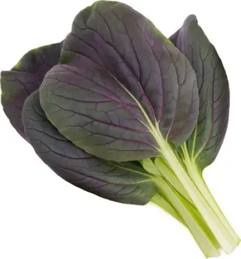 Kapsula farash Click and Grow Red Pak Choi, për Smart Garden, 3 copë, jeshile