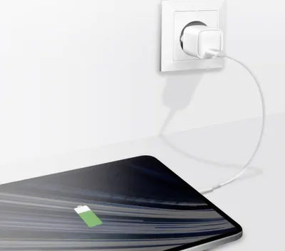 Karikues muri LogiLink PA0278, USB C, 20W, i bardhë - 3