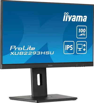 Pamja 4