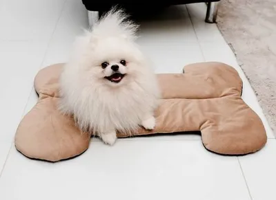 Shtrat për qen Mimikoko MIMIKO Pets Velvet, formë kocke, kundër rrëshqitjes, ngjyrë bezhë - 2