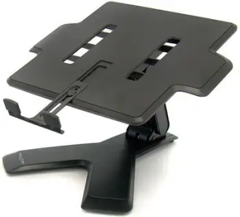 Osh Cante Per Parashkollor 31X24X9Cm Lion Sc2489