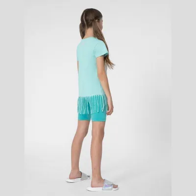 Pamja 3