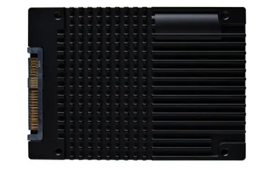 SSD Kingston DC3000ME, 15.36TB, U.2 NVMe 5.0, për server - 2