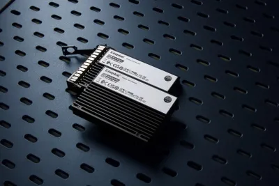 SSD Kingston DC3000ME, 15.36TB, U.2 NVMe 5.0, për server - 7