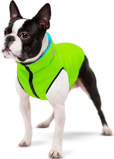 Jeletë për qen AiryVest, madhësia XS, i kthyeshëm, jeshile dhe blu - 2