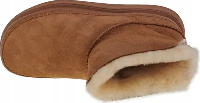 Pamja 3