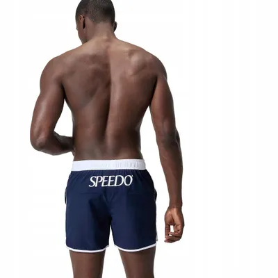 Pamja 4