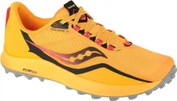Atlete për meshkuj Shoes Mizuno Wave Sky 5 46