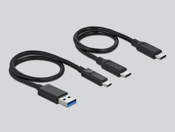 Dok stacion Delock 64000 M.2 PCIe NVMe, USB C 3.2 Gen 2, gri - 2