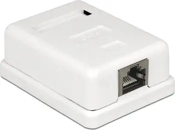 Prizë murale DeLOCK 86169, RJ45, 1 port, e bardhë