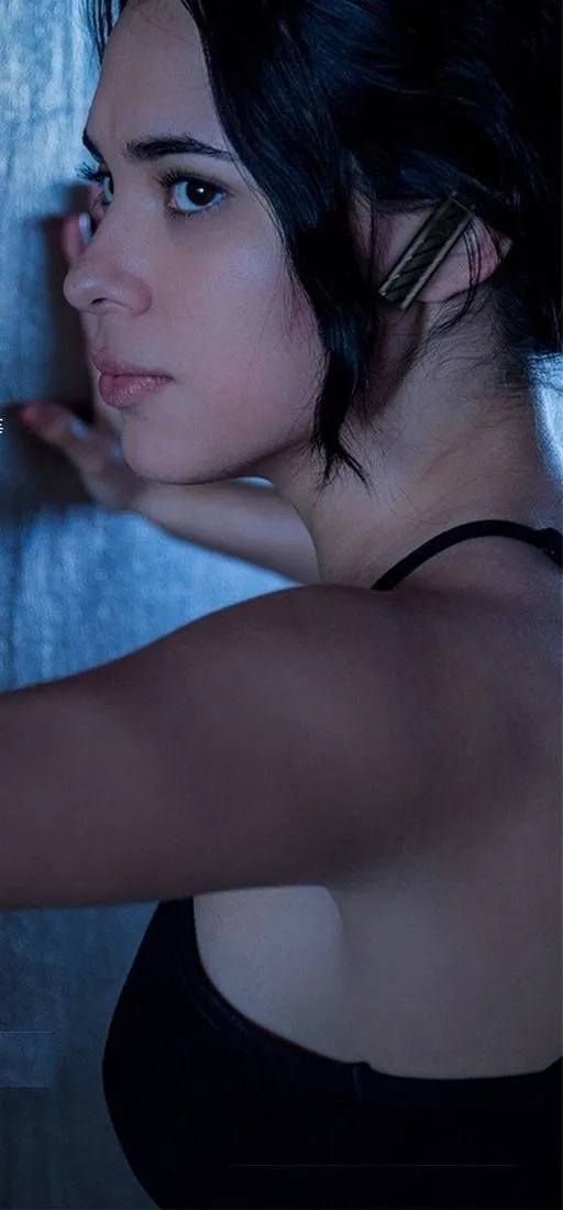 Pamja 3