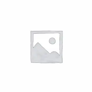 Apple Mac Mini M4 / 10 CPU / 10 GPU / 16 N.E / 32GB / 1TB – Silver
