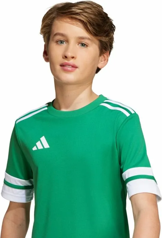 Pamja 6