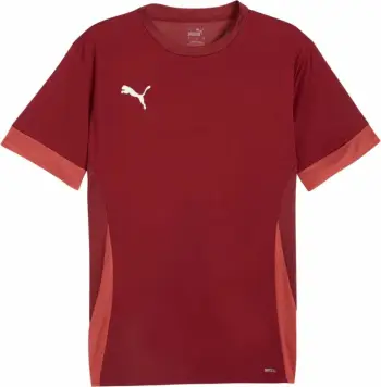Fanellë futbolli Puma për meshkuj, burgundy [Madhësia: XL]