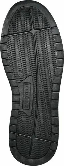 Pamja 12