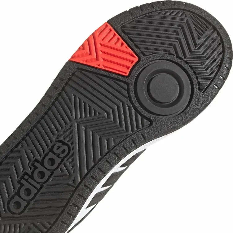 Pamja 6