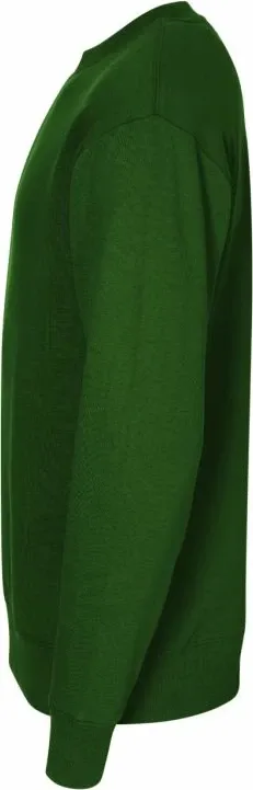 Pamja 3